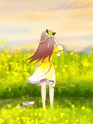 月光不坠小说