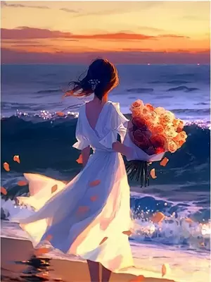 袖中藏日月