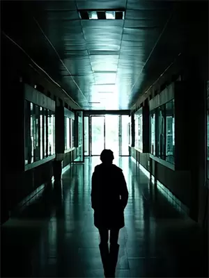 千年修得今生情