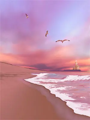 星辰下的大海