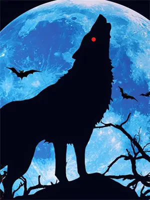 素瓷静夜