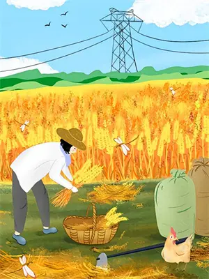 官者:忠天下,忠人民最新章节列表